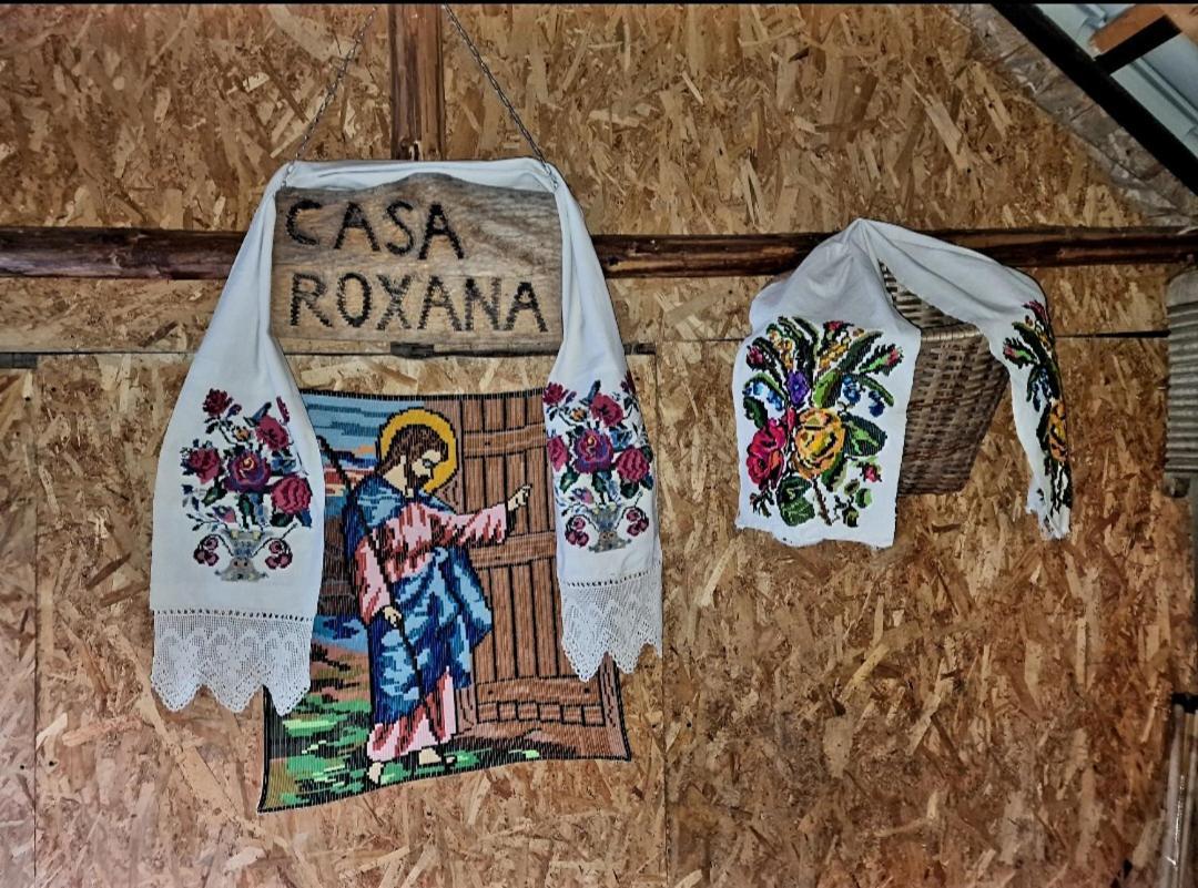 Casa Roxana Villa Viseu de Mijloc ภายนอก รูปภาพ